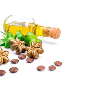 น้ำมันเมล็ดถั่วชาอินจิบริสุทธิ์จากธรรมชาติธรรมชาติผลิตโดยผู้ผลิตจากเวียดนามชั้นนำ - Product Image 4