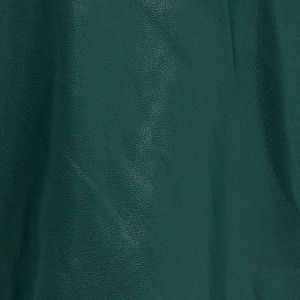 Dernière mode Veste en cuir pour femmes Respirante Anti-rides Imperméable Écologique Qualité supérieure Légère Hiver Coton - Product Image 6