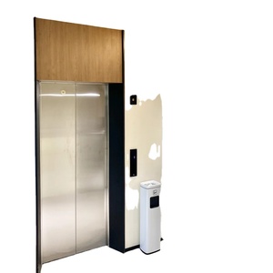 Ascensor Residencial de Fabricación China, Máquina de Tracción para Ascensor, Precio Más Vendido, Personalizable, Ascensor Residencial de 250 kg - Product Image 1