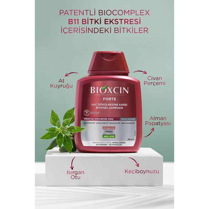 Forte Shampoo Buy 3 Pay 2 3x300 Ml - Intensive Hair Loss Shampoo