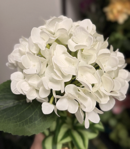 Bouquet di Fiori Artificiali in Seta Realistici per Decorazione Casa Classici Fatti a Mano Rosa - Product Image 3