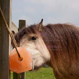 100% Tự Nhiên Himalaya Muối Liếm Đá 6-9Kg Chất Lượng Tốt Nhất Nhà Máy OEM Dịch Vụ Trực Tuyến Bán Động Vật Thức Ăn Cho Liếm - Product Image 6