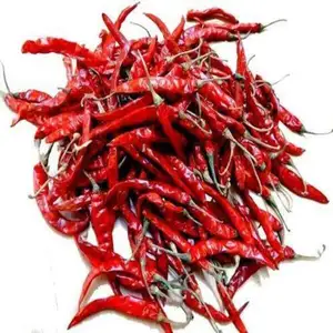 INDIAN RED DRY TEJA S17 SPICY NEW CROP LATEST ARRIVAL CHILLIES FROM GUNTUR AVAILABLE IN CUSTOMIZED PACKING