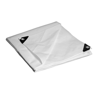 Offre Spéciale 100% bâche imperméable de haute qualité de couverture de camion bâche transparente résistante 10x10 bâche de PE de tente Protection UV