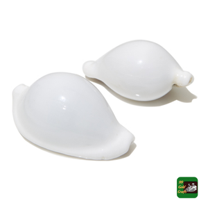 Venta al por mayor de conchas de cauri de gran tamaño de 2-3 pulgadas, conchas marinas pulidas de Vietnam para la fabricación de joyas DIY y la decoración del hogar - Product Image 4