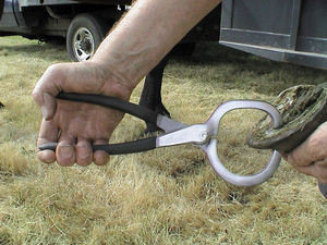 Testeur de sabot réglable chirurgical vétérinaire très utilisé 15 testeur de sabot d'instrument vétérinaire équin de cheval maréchal-ferrant - Product Image 6