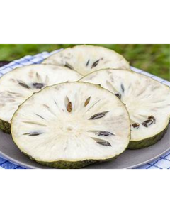 Soporte Inmunológico, Fruta de Guanábana Congelada, Envasado al Vacío a Granel, Vegano, Sin OMG, Etiqueta Limpia, Opción de Nutrición a Base de Plantas - Product Image 1