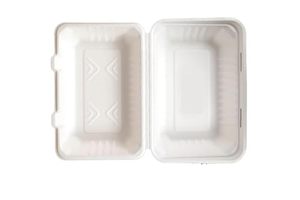 Boîte à emporter biodégradable en bagasse carrée 9x6 avec couvercle, conteneur de déjeuner écologique compostable pour restaurants, événements, rentrée scolaire, style zen asiatique - Product Image 2