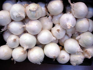 Cebollas Peladas Frescas de Nueva Cosecha, Cebollas Blancas Peladas de Alta Calidad de Fábrica - Product Image 2