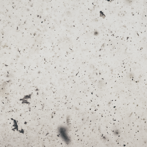 Crème coréenne de fermentation du bifida Crème hydratante à l'eau minérale Crème pour le visage hypoallergénique naturelle biologique pour réparer la barrière cutanée - Product Image 3