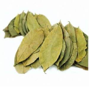 Hojas secas de Guanábana precio barato de VIETNAM - Product Image 4