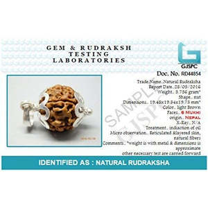 Rudraksha Nepalí Original y Certificado de 4 Mukhi Ganesha, Regalo Religioso Hindú - Product Image 4