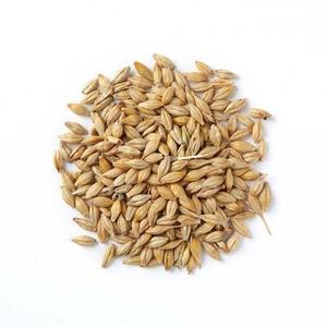 Meilleur aliment pour le grain d'orge/le grain de Malt d'orge/l'orge pelée prêt - Product Image 2