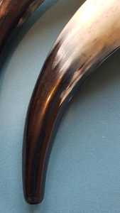 Elegant Buffalo Horn Mug, Handmade Rustic Eco-Friendly Cup, Durable Stylish Drinkware, Perfect for Coffee, Tea, <b>Whisky</b>, - Product Image 4