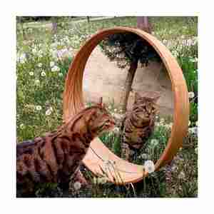 New Design Made In India Convex <b>Mirror</b> Glass Room Decor Round Wooden Frame Exporter From India With Export Quality - Product Image 3