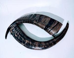 Par de Cuernos de Búfalo Naturales Pulidos a Mano de Alta Calidad, Decoración Ecológica para el Hogar, Estilo Antiguo, Imitación Negra Personalizada - Product Image 3