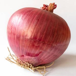 หัวหอมสดส่งออกหัวหอมสดจากธรรมชาติที่มีรสชาติเข้มข้นและความสดใหม่สูงบรรจุอย่างระมัดระวัง - Product Image 3