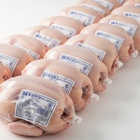 Paket jumlah besar ayam beku segar tanpa bulu tidak ada standar ekspor dengan pilihan pelabelan OEM