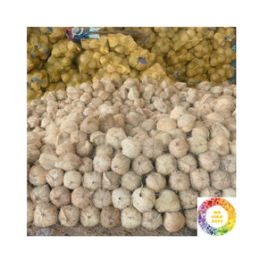 มะพร้าวกึ่งเปลือกมะพร้าวสีน้ำตาลเข้มแบบพรีเมี่ยมเนื้อน้ำมะพร้าวเข้มข้นเหมาะสำหรับน้ำผลไม้แปรรูปอาหารและการทำอาหาร - Product Image 5