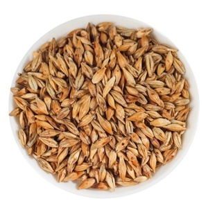 Cebada sin cáscara, grano entero, natural, orgánica, fresca de granja, calidad premium, ingrediente para cocinar - Product Image 4