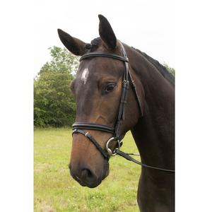 Vente en gros d'équipement équestre pour chevaux Bride en cuir et licou pour les courses pour les propriétaires et les cavaliers de chevaux - Product Image 1