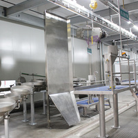 Ensemble de boîte de choc et de levage automatiques pour bovins avec moteur et pompe contrôlés par PLC pour l'abattage humain dans les abattoirs de taille moyenne à grande