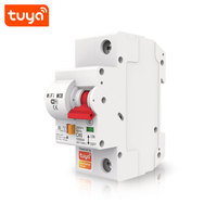 Disjoncteur intelligent Smart Life Smart MCB 1P 16A 20A 25A 40A 63A 80A Wifi pour maison intelligente, interrupteur de commande à distance PST-MCB-1P
