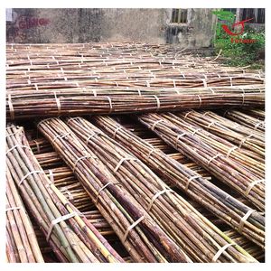Pôles en rotin naturel de 12 à 30 mm de la marque HNIECO, respectueux de l'environnement, matière première artisanale, mobilier de jardin, fabrication vietnamienne, agriculture - Product Image 3