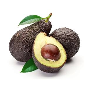 Aguacate fresco a precio de fábrica, envasado a granel para distribuidores y revendedores - Product Image 6