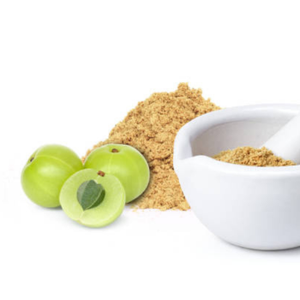 Poudre d'Amla lyophilisée pure Superaliment Emblica Antioxydants Digestion Boost de collagène Halal MOQ Vente en gros - Product Image 3