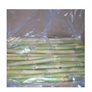 Suministro a granel de varillas de caña de azúcar congeladas, peladas y sin pelar, sabor fresco sin OGM, perfecto para supermercados y productores de bebidas - Product Image 2