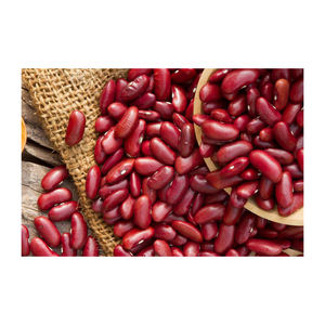 Haricots rouges à bas prix, approvisionnement en vrac, stock frais, vente en gros - Product Image 5