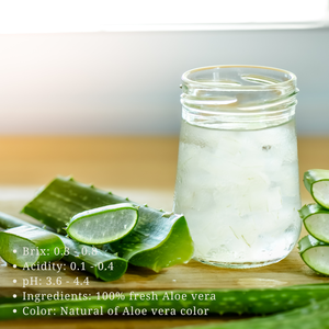 Puré de aloe vera exportado desde Vietnam empaquetado a granel - Product Image 2