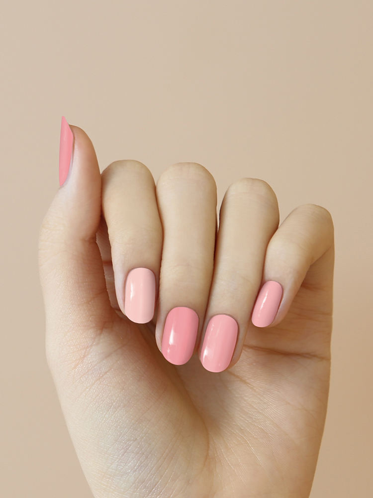 F3a6ae ffd4ce ตัวเลือกสี