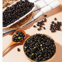 Crispy Roasted Black Soy Nuts High Protein Vegan Snack OEM ODM Wholesale Supplier Export From Vietnam