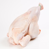 Ailes de poulet congelées Halal