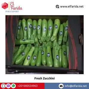 Alta calidad Premium grado orgánico fresco calabacín verduras cantidad a granel exportador de Egipto suministro al por mayor - Product Image 5