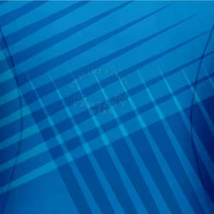 Uniforme de Netball Sublimado Personalizado, Ropa Deportiva para Equipos y Clubes, Fabricante de Uniformes Deportivos - Product Image 4