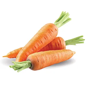 Organik olarak taze sebzeler Vietnam çiftliğinden taze hasat havuç Carrotte