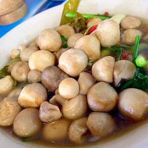 FABRICACIÓN DE SETAS CONGELADAS SETA DE PAJA EN CONSERVAS - Product Image 2