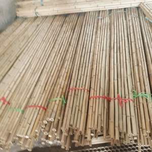 Venta al por mayor de estacas de caña Tonkin | Tamaño personalizado 6-12mm | Tratadas para la agricultura | Fábrica de Vietnam - Product Image 1