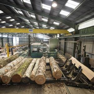 Grande planche collée en bois de hêtre frais pour le bois de hêtre bordé et non tranchant de qualité cercueil cuit à la vapeur ou KD - Product Image 2