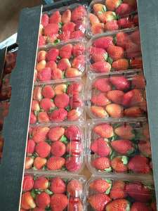 Fraise de luxe ICHIKI-HIME fraîche 250 Gr Emballage-Pérou Origine Meilleure qualité Meilleur prix - Product Image 4