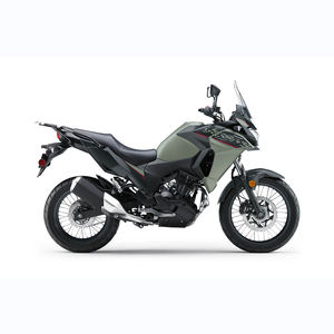 Kawasaki VERSYS-X 300 2024 - Product Image 4