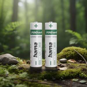 แบตเตอรี่มินิสไตล์ AAA แบบชาร์จได้ 700mAh (2 ชิ้น) 00223525 - Product Image 3