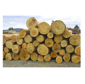 Madera Dabema de primera calidad a granel, madera barata para mayoristas e importadores internacionales - Product Image 3