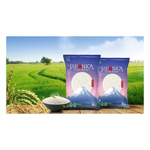 Arroz Japonica 25%, arroz a granel asequible roto para exportación y venta al por mayor - Product Image 4