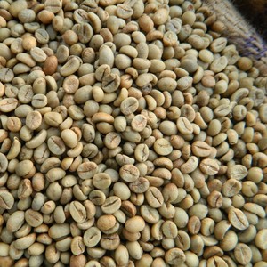 โรบัสต้าแห้งผลิตภัณฑ์ทางการเกษตรส่งออก - Product Image 6