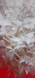 มะพร้าวแห้งปอกเปลือกออร์แกนิกรสชาติหวานแบบพรีเมี่ยม - Product Image 3