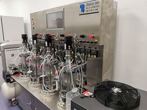 Bailun 10L bioréacteur bio fermenteur types de vaccin bioréacteur en verre à agitation mécanique utilisé BLBIO-GJ de culture - Product Image 3